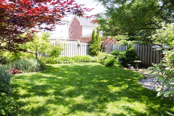 Backyard Garden