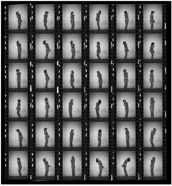 ImPositions-SuzyLake