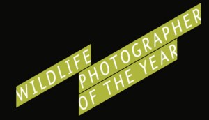 Wildlife Photographer of the Year
