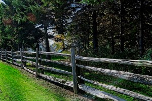 AmherstIsland_20181014_0012