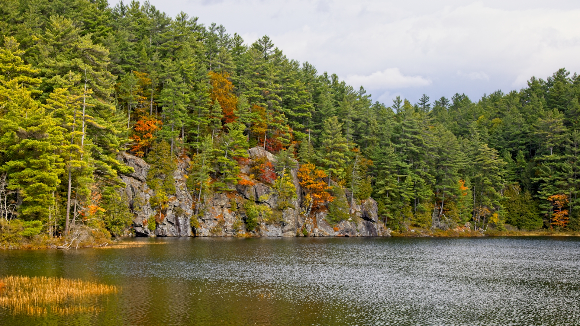 A fall trip to and around Algonquin Park.